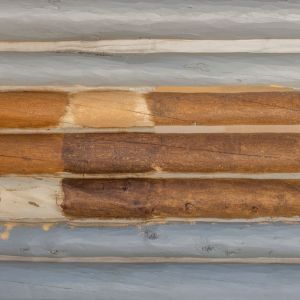 LOG.Stain.Samples.0180