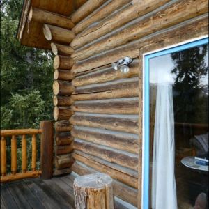 Holly Before 2
