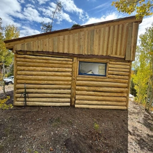 Tomasek 10 Web.jpg